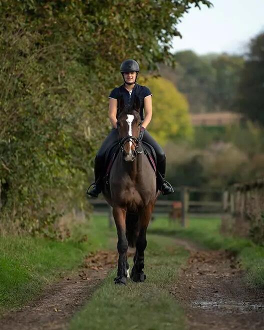 PLP Article Card Horse Riding Gloves