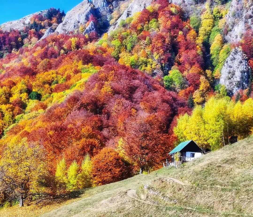 5 Trasee Inedite Pentru Cele Mai Spectaculoase Peisaje De Toamn 5 Trasee Inedite Pentru Cele Mai Spectaculoase Peisaje De Toamn