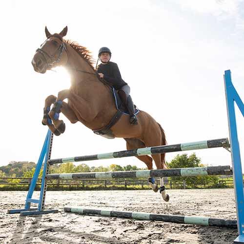 Noir Fouet De Cheval avecFouet en Cuir Frangé,pour Les Sports D'équitation  en Plein Air, L'entraînement à L'équitation,entraînement Quotidien