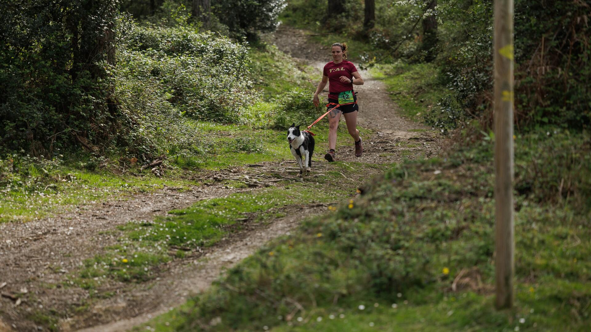 Comment courir avec son chien ? Nos conseils pour débuter