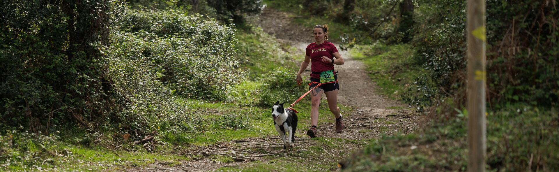 Preparer ma premiere course de canicross