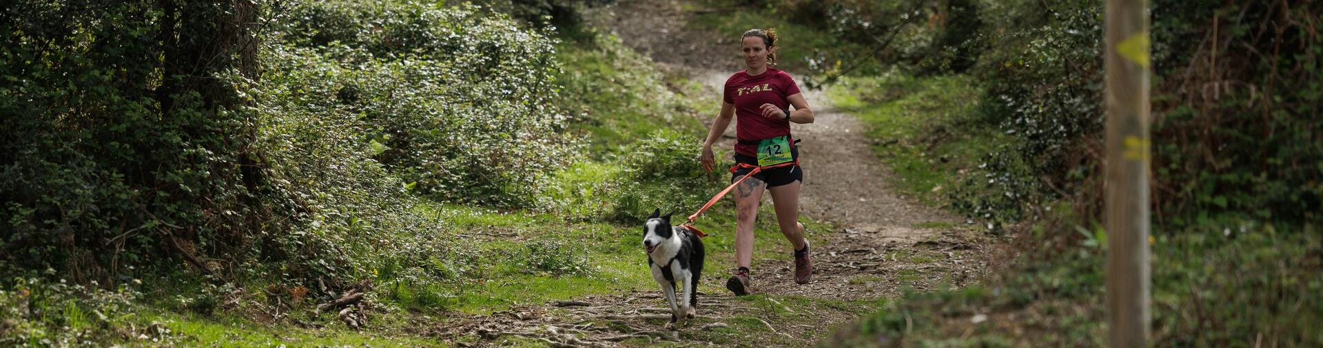 Preparing your first canicross race