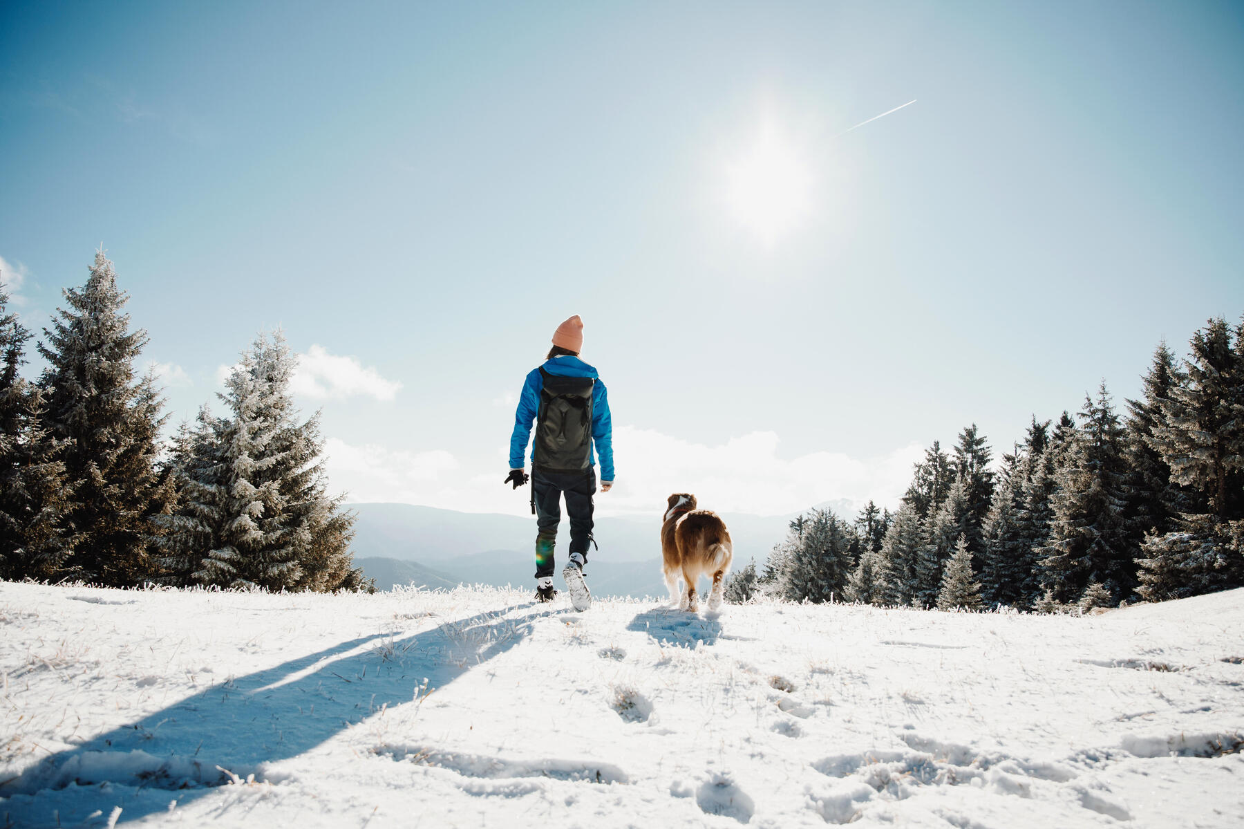 sport canin hiver