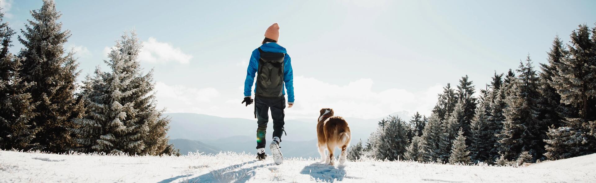 Walks to Take Over the Festive Season
