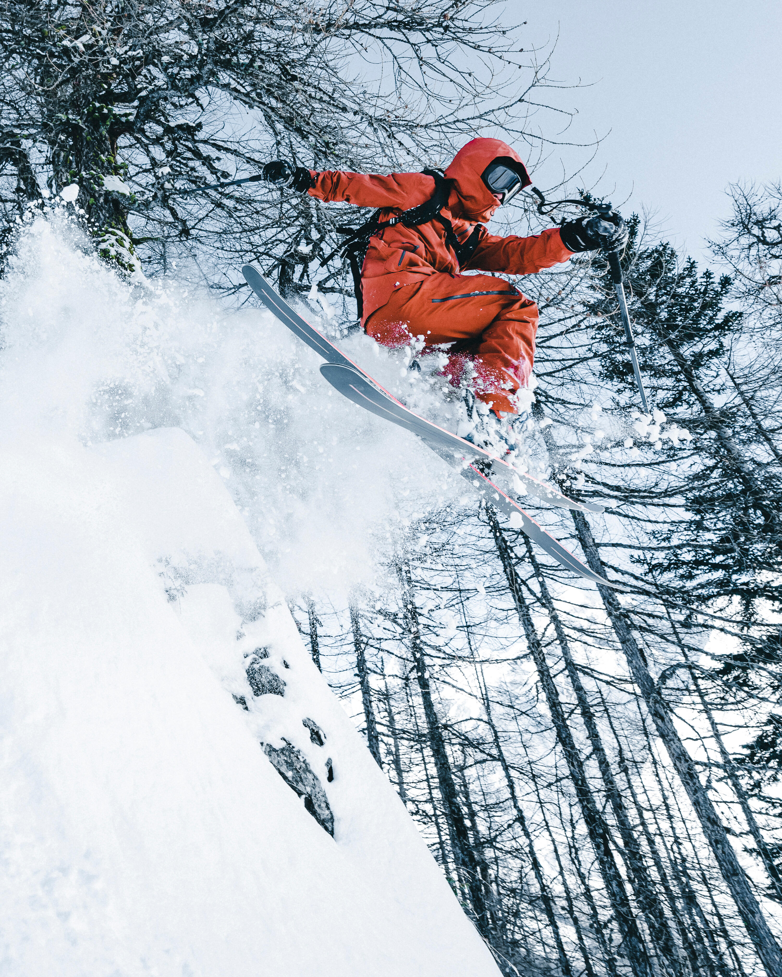 Skis  Shop your ski gear online, winter sale