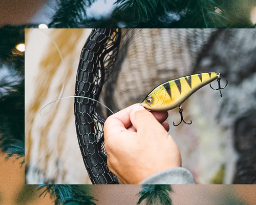 pesca robalo