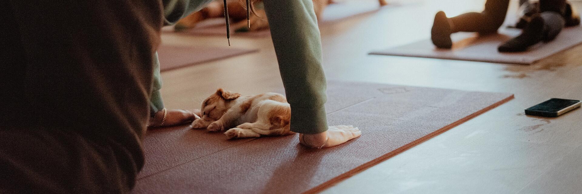 yogamat