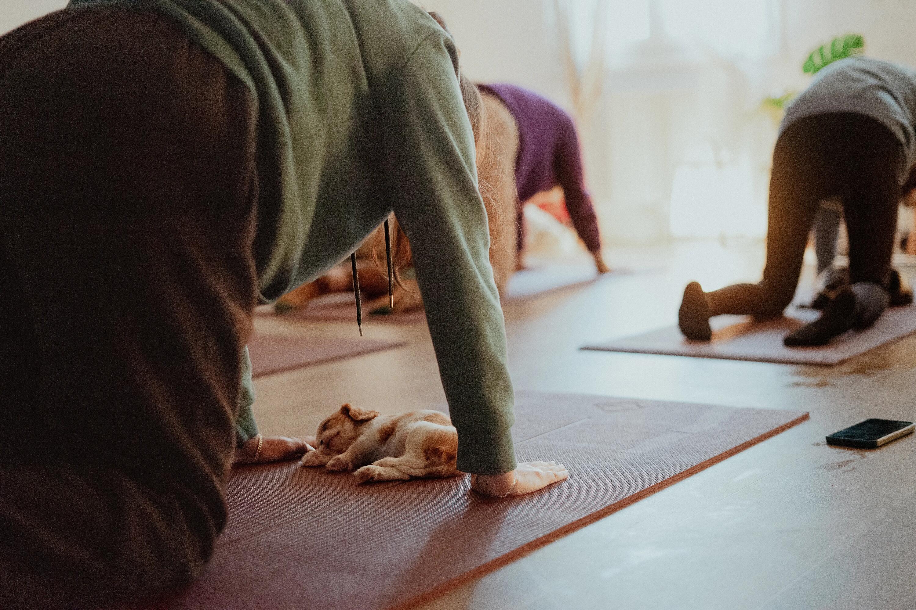 yogamat