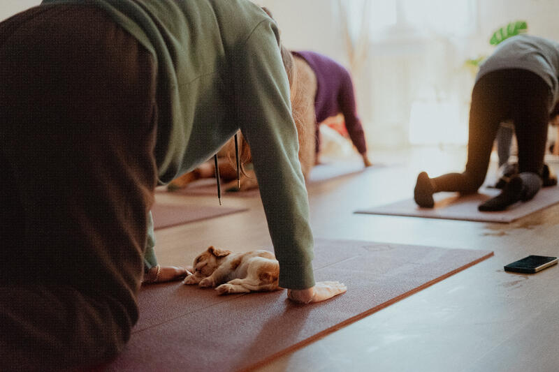 Hoe kies ik een yogamat?