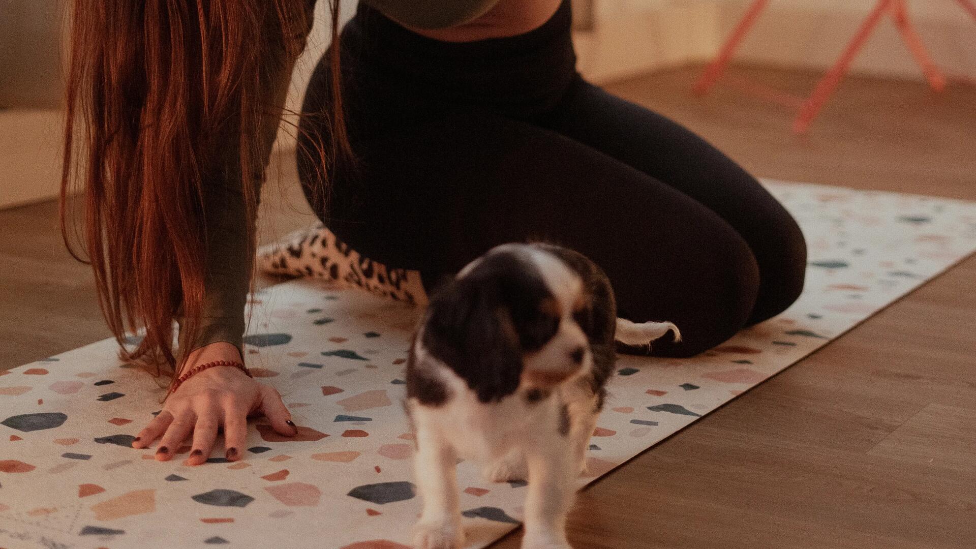Kobieta w odzieży sportowej ćwicząca jogę na macie z psiakiem