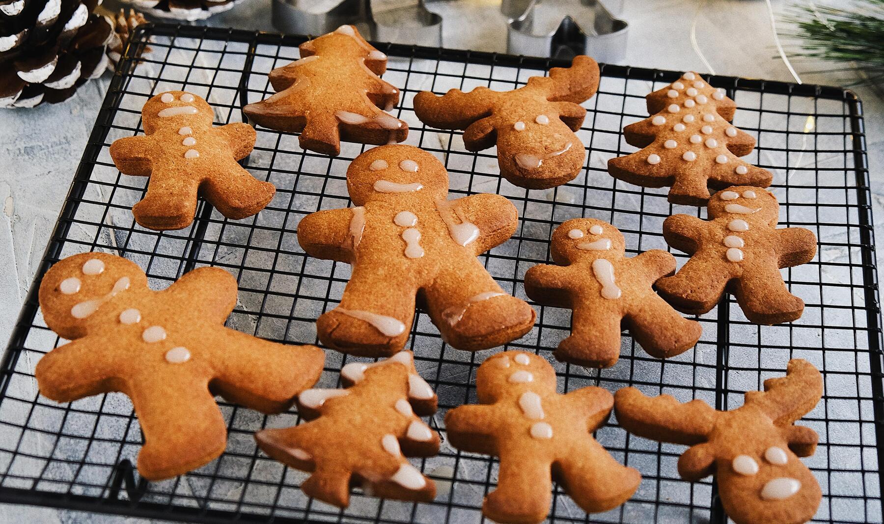 bolachas gingerbread com proteina decathlon