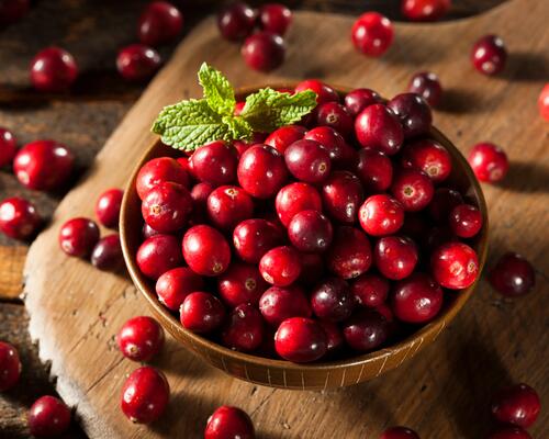 Le jus de cranberry, boisson aux multiples bienfaits