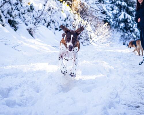 5 activités hivernales pour futures mamans