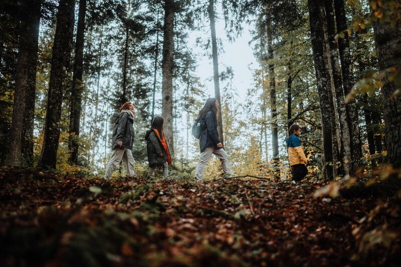 3 redenen waarom de herfst het beste seizoen is om te wandelen!