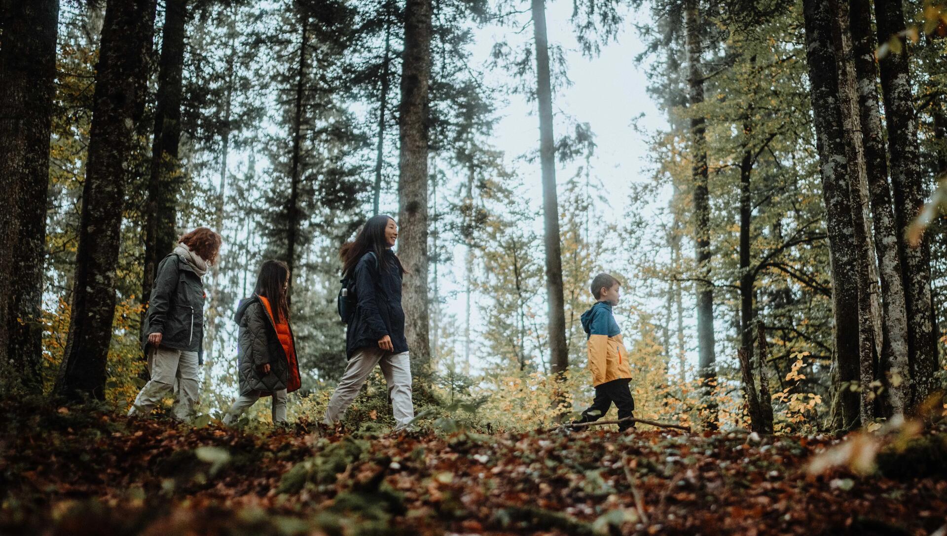 image d'ambiance : 2 femmes et 2 enfants qui marchent dans la forêt en automne
