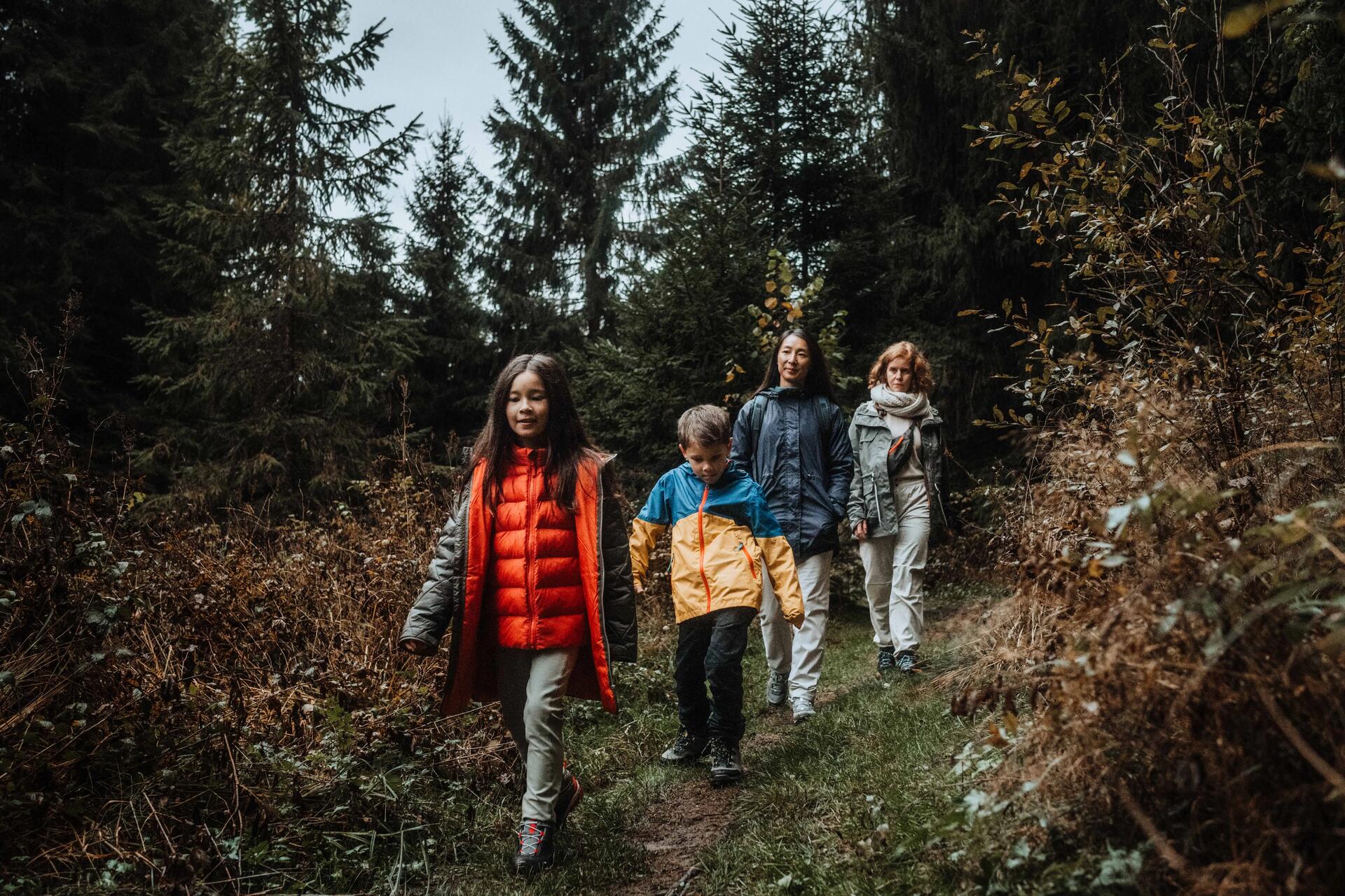 NS Wandelingen