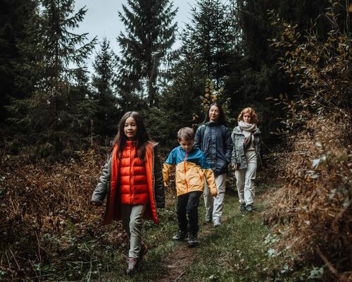 NS Wandelingen