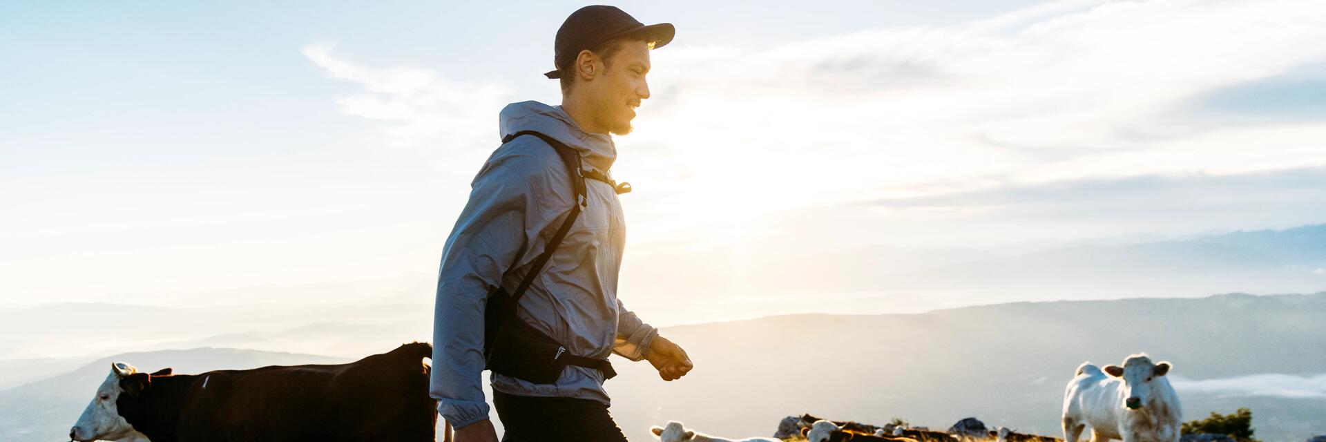 sphere media background sample