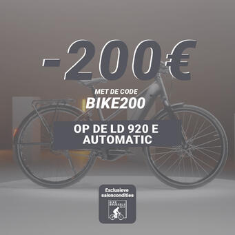 e-bike LD920