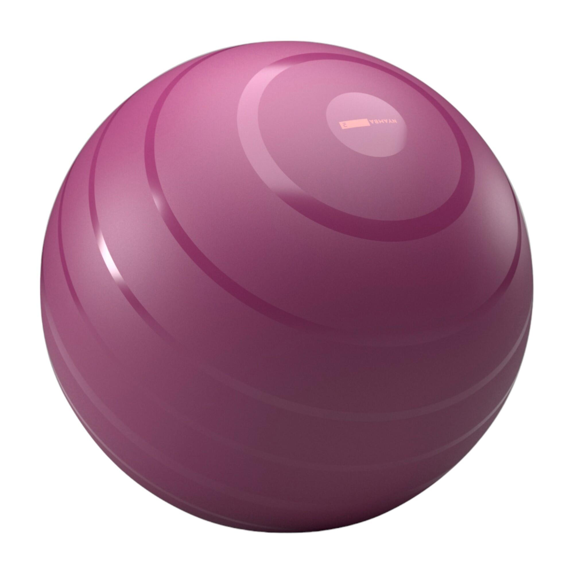 Gym & Swiss Balls