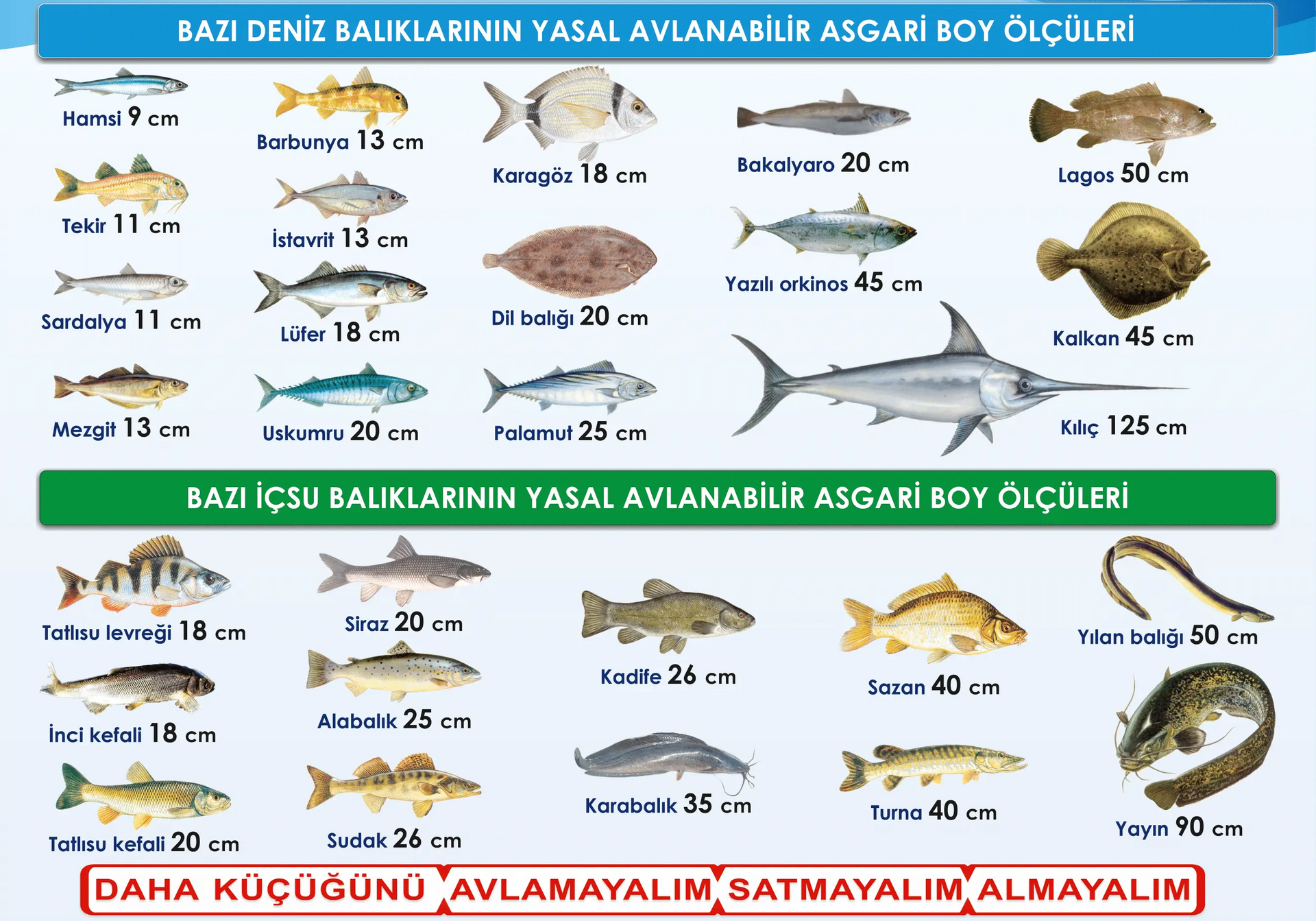 Sürdürülebilir Balıkçılık Nedir?
