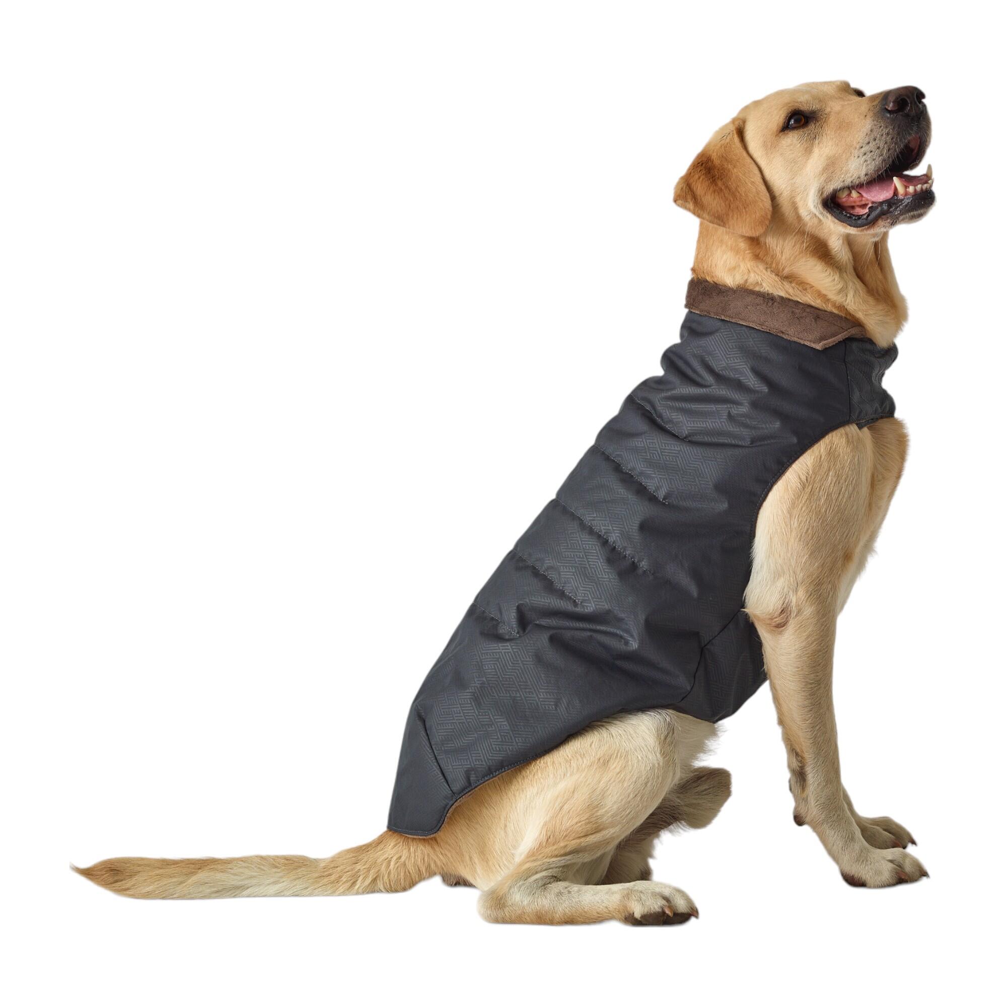 Dog Vests & Coat