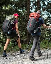 Camino de Santiago