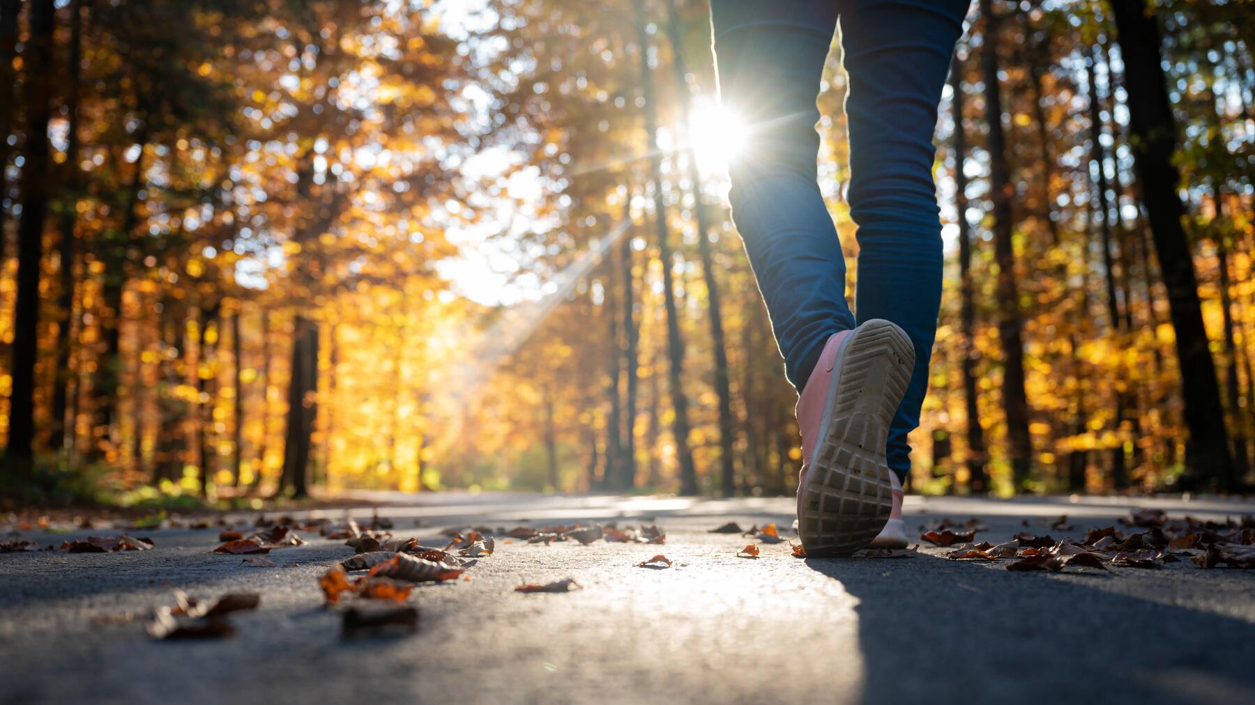 Wandelen natuur herfst