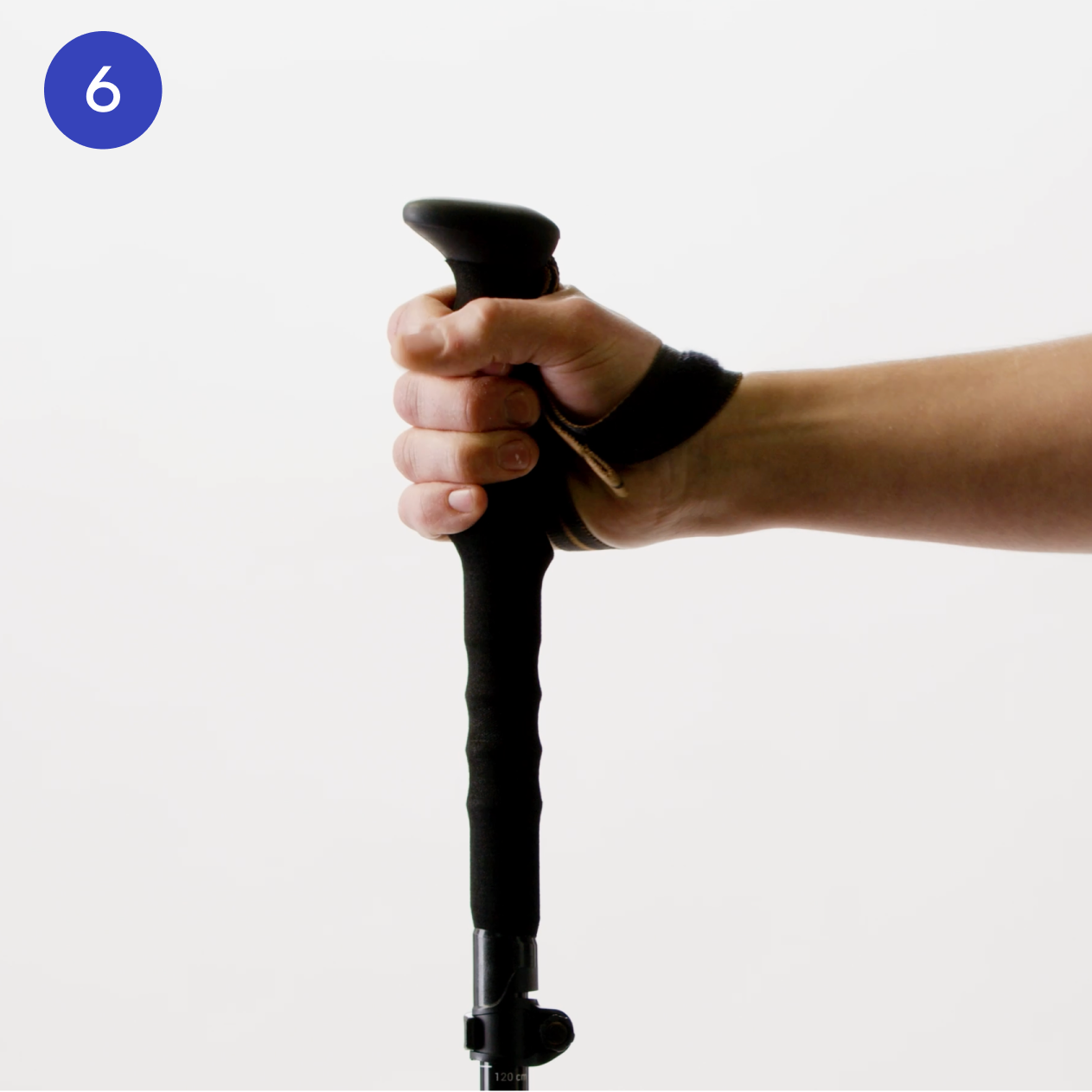 Batons-de-trek