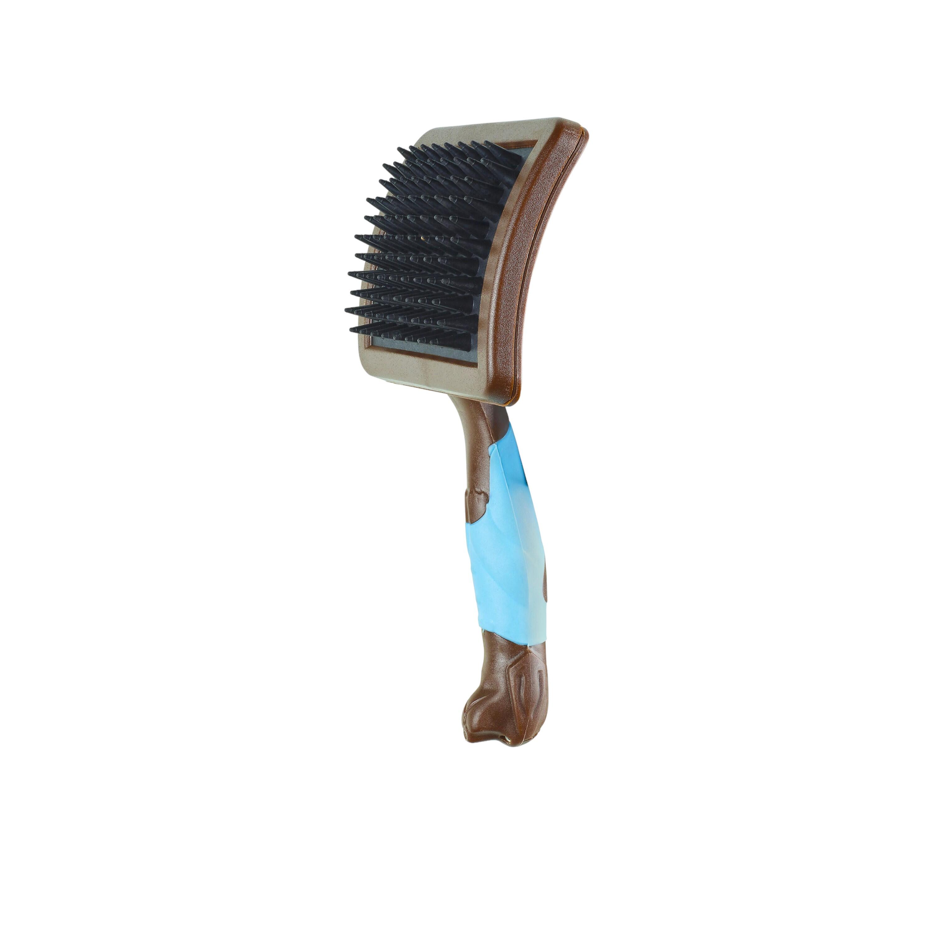 Accessori cane