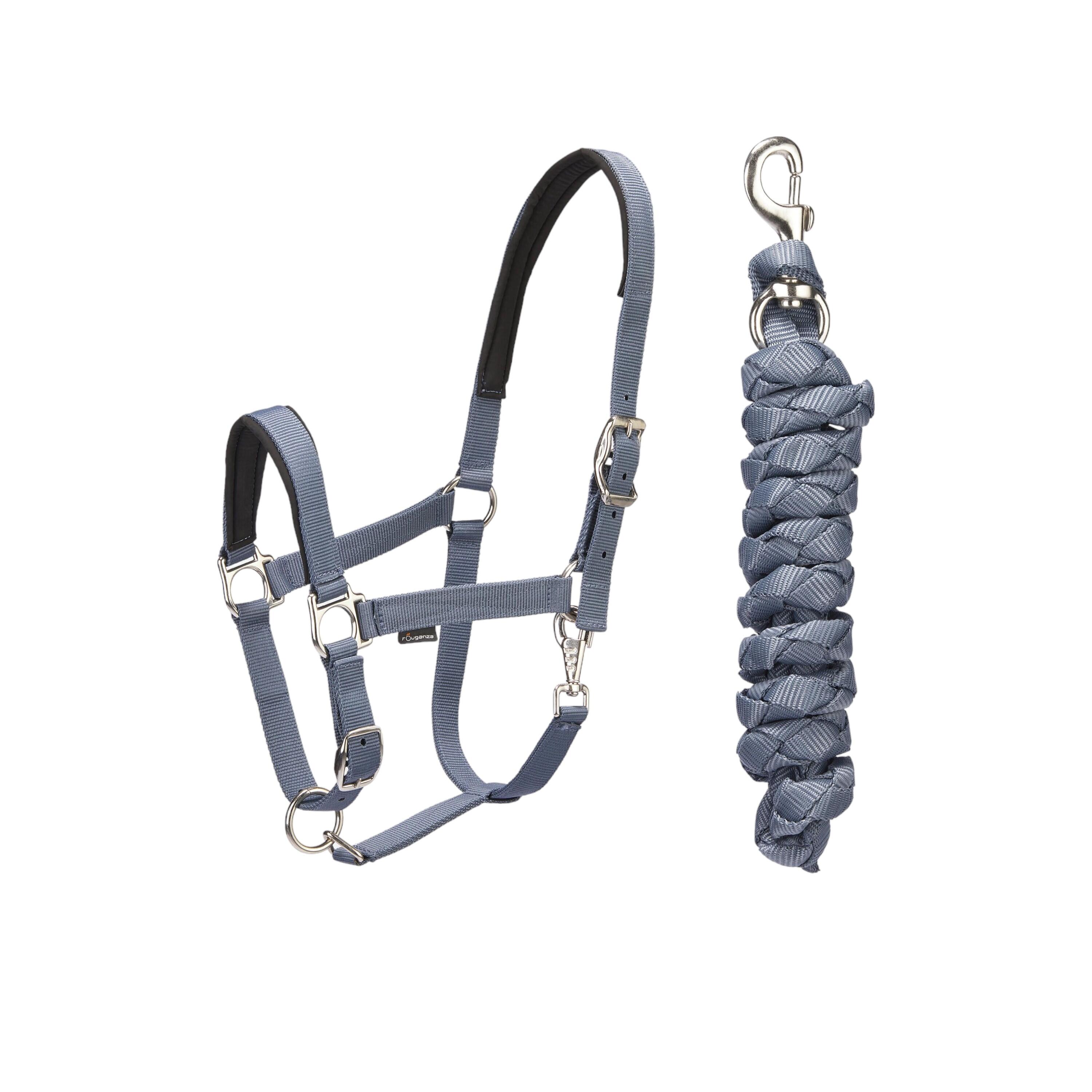 Set capezza e longhina