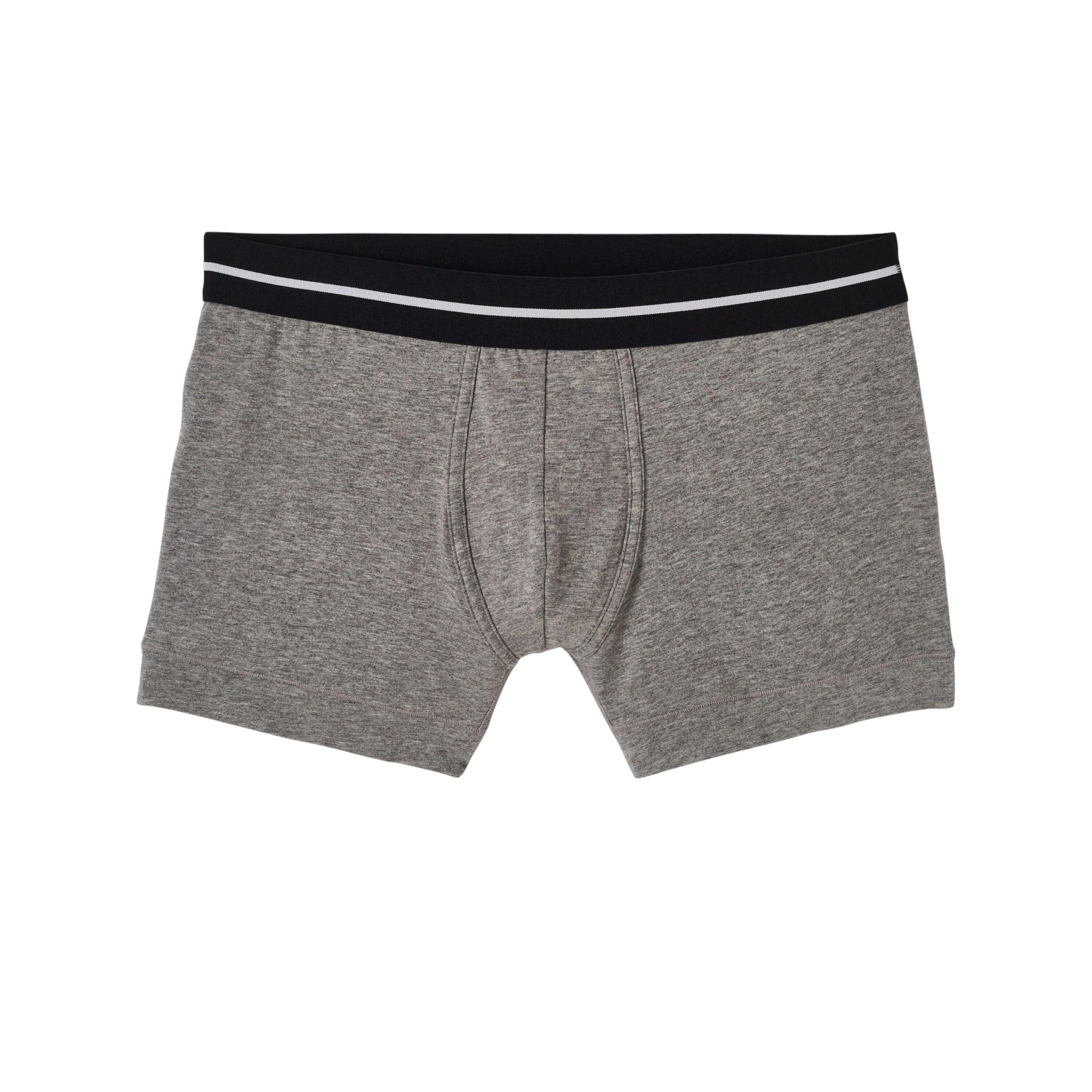 Boxer
