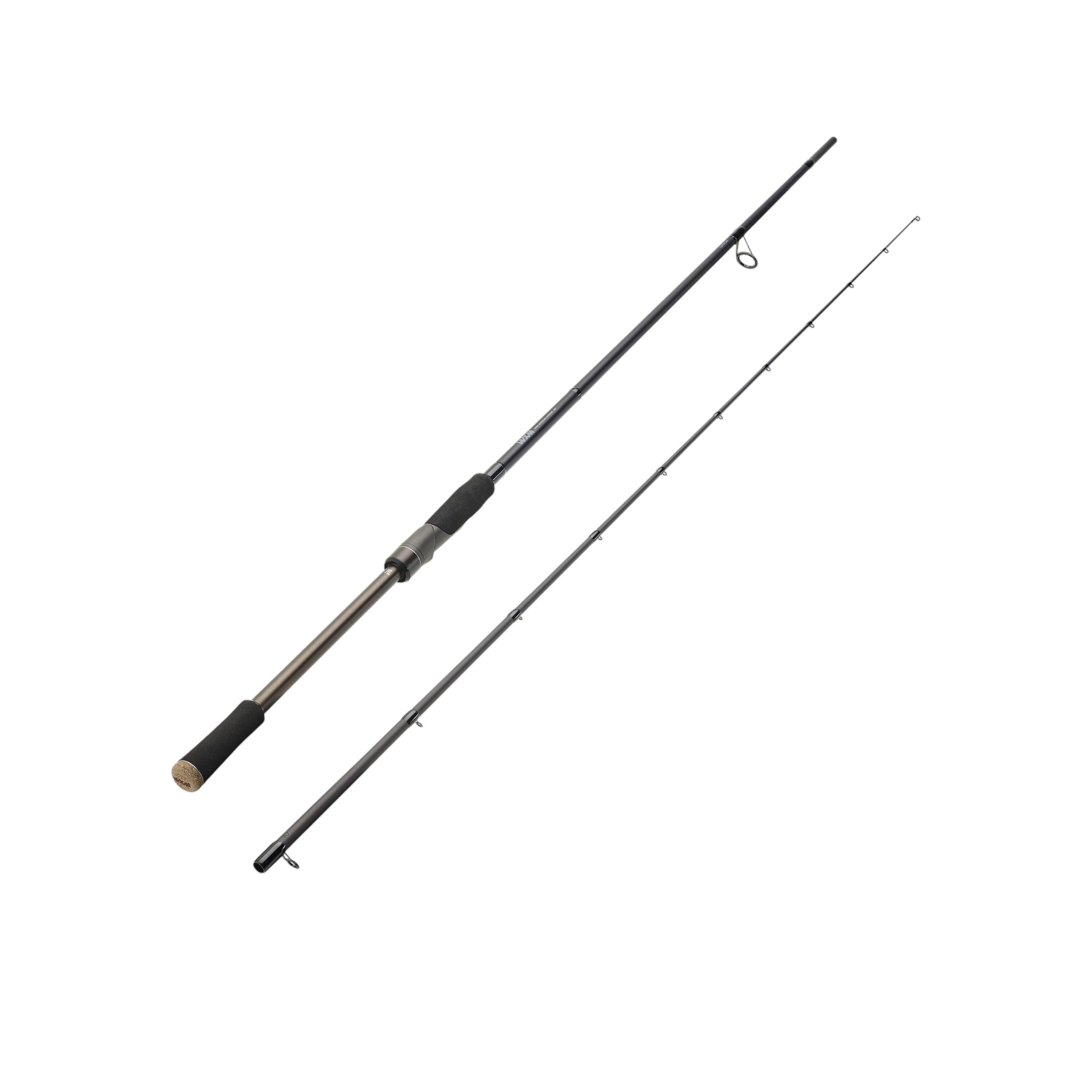 Pesca a spinning