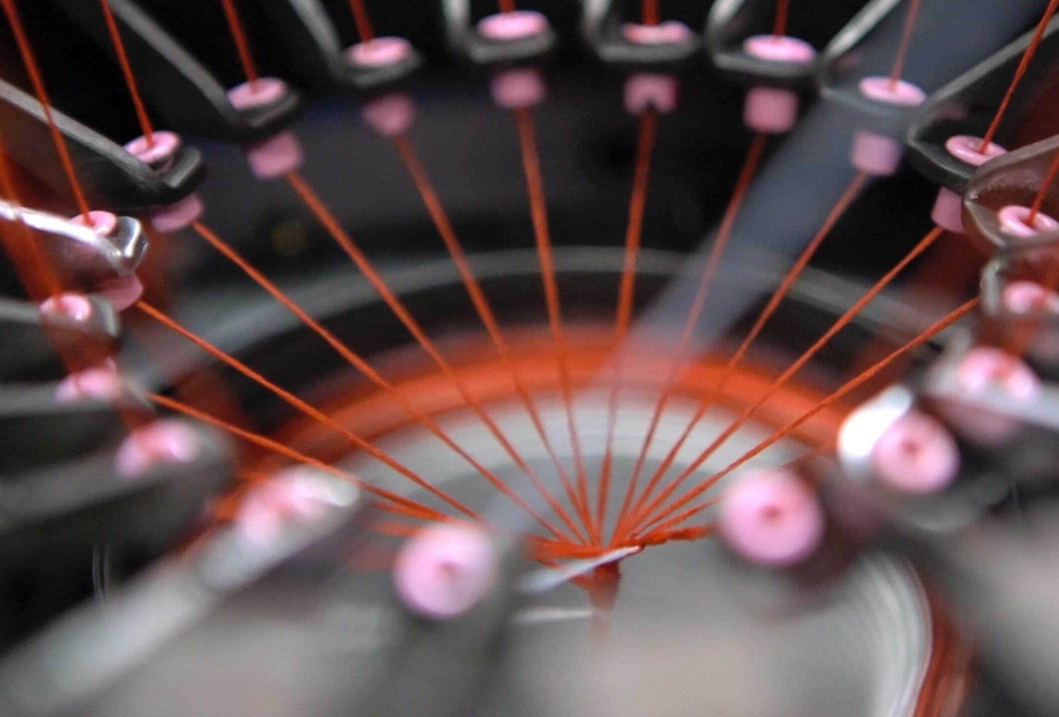 The circular economy