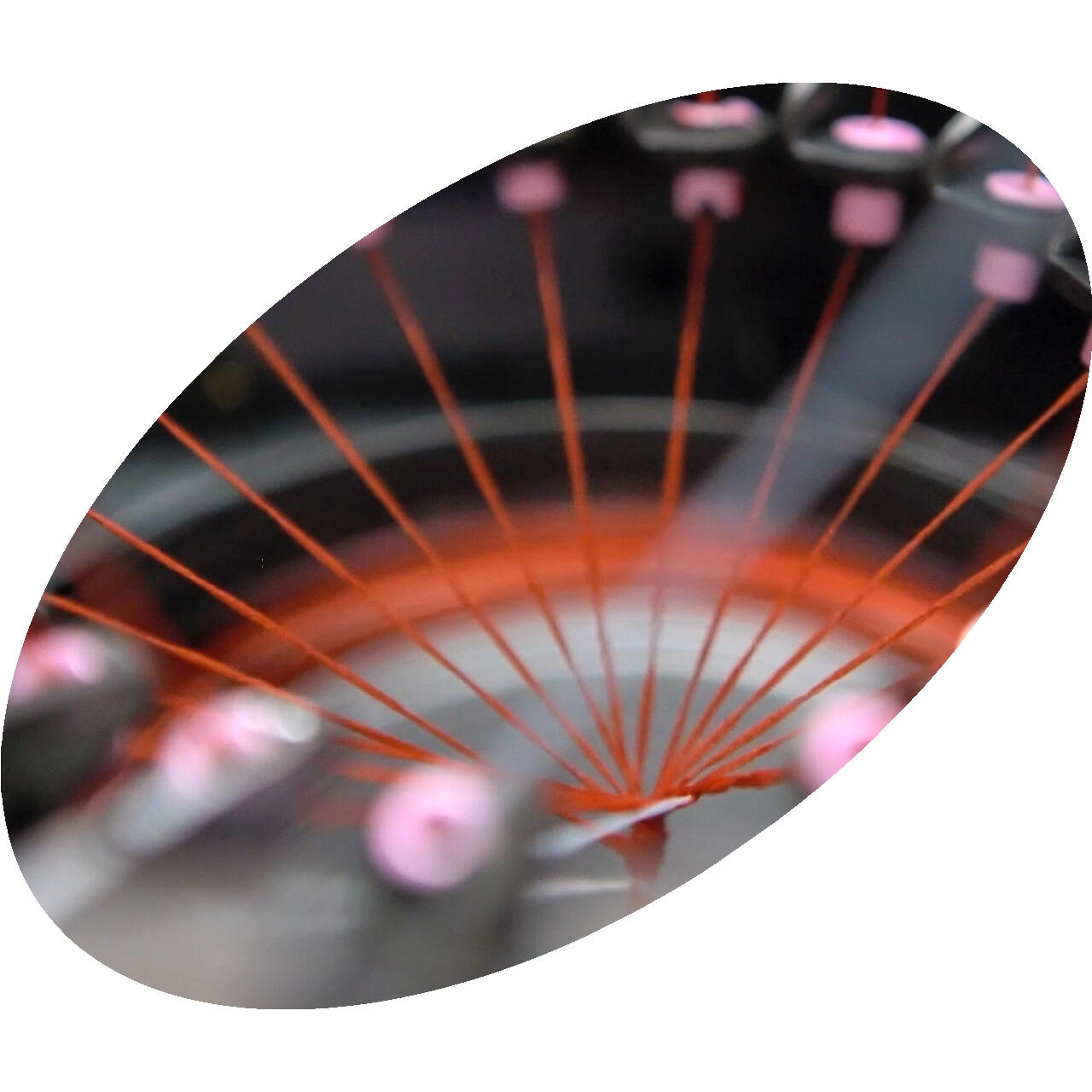The circular economy - Decathlon Pulse