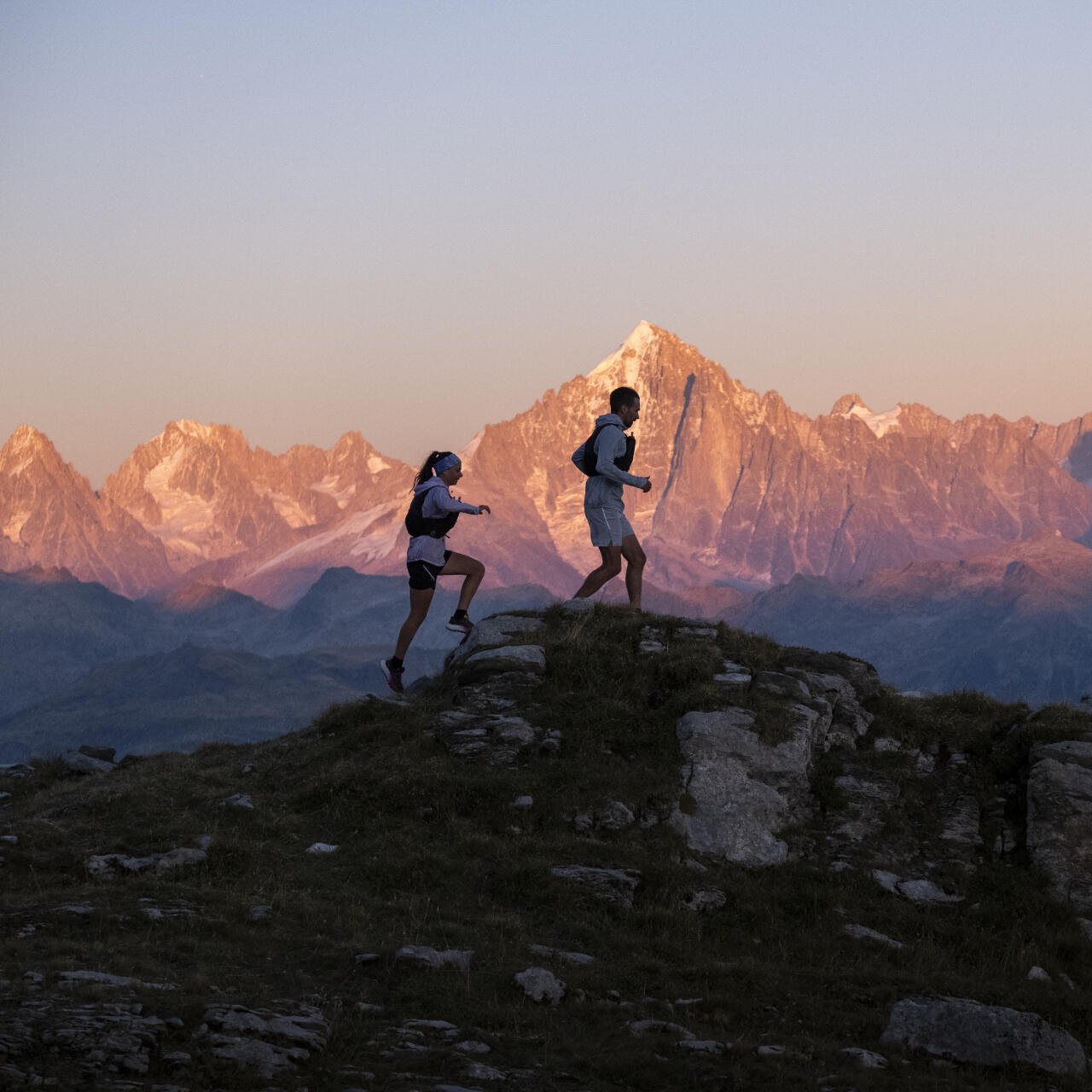 Expert sports brands