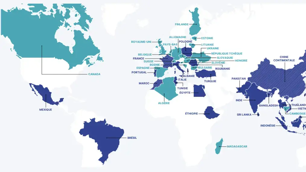Mappa dei continenti in cui sono fabbricati i prodotti Decathlon 