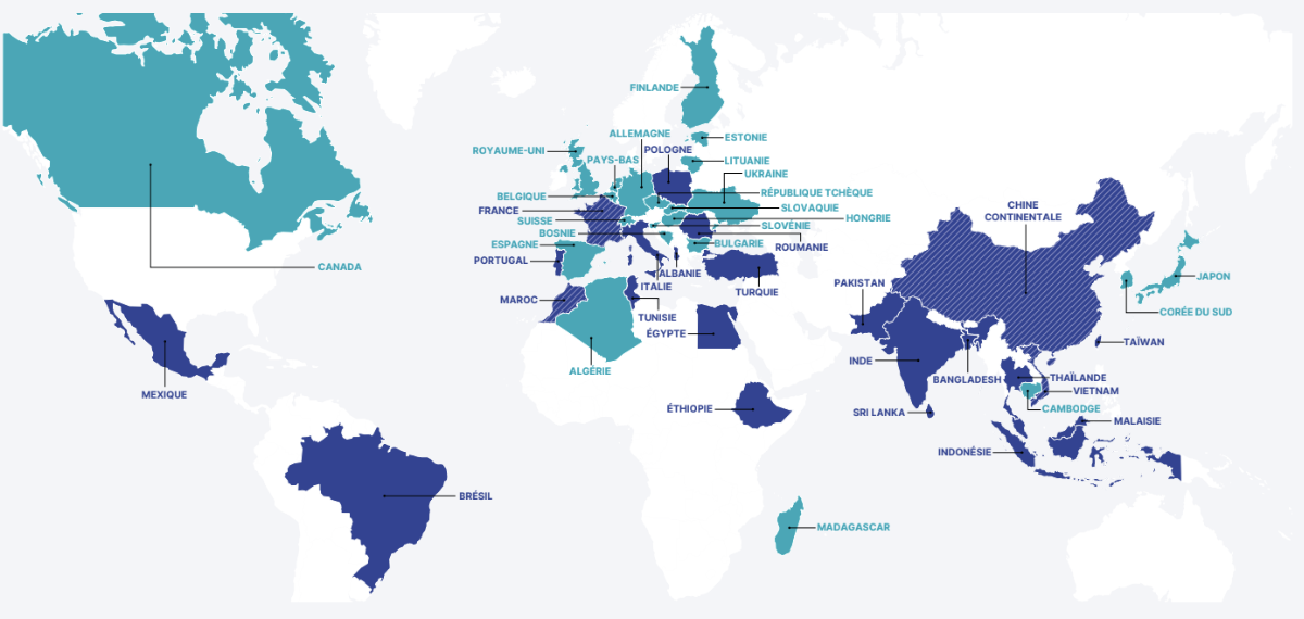 Graphique représentant les continents où sont fabriqués les produits Decathlon 