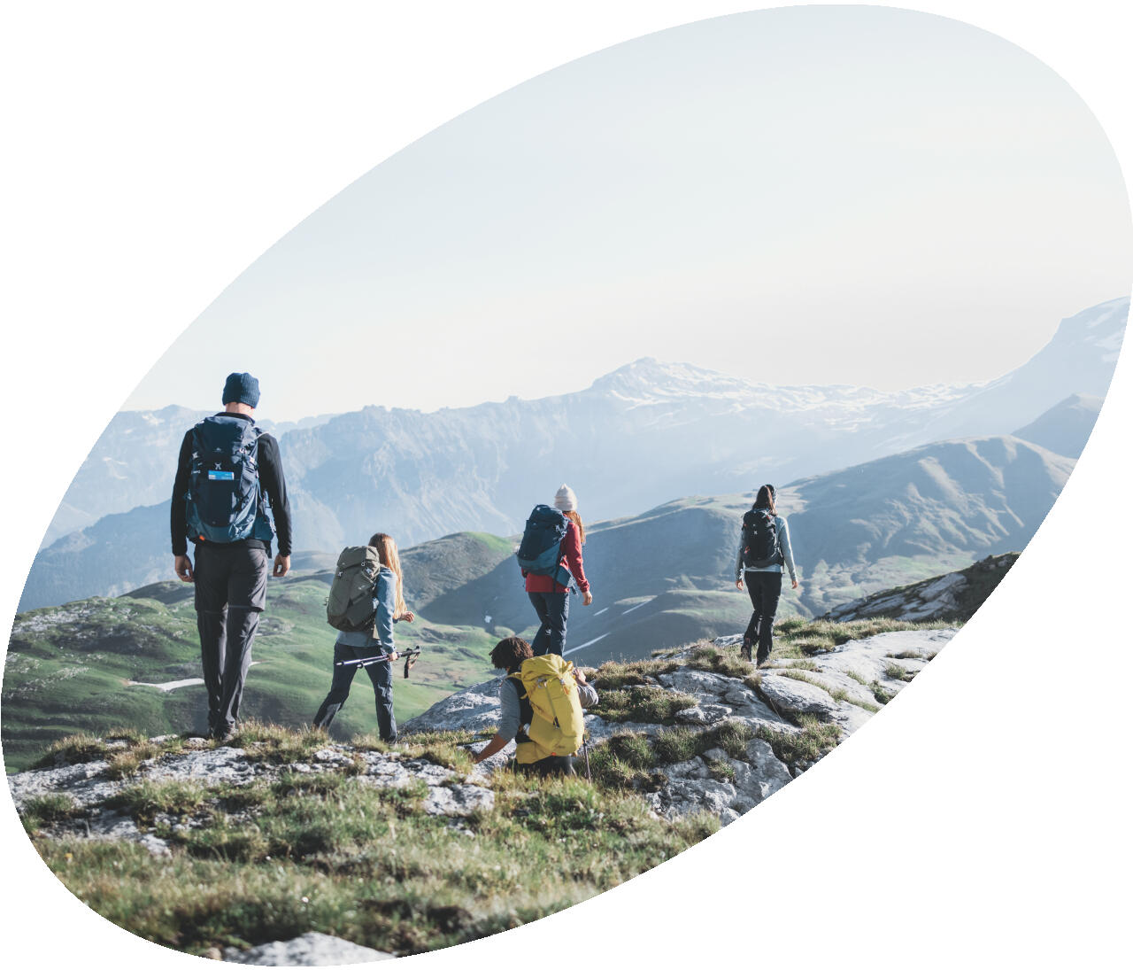 Expert sports brands - Decathlon Pulse