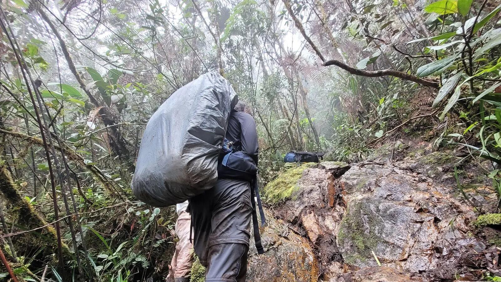 Viajar a los Farallones del Citará