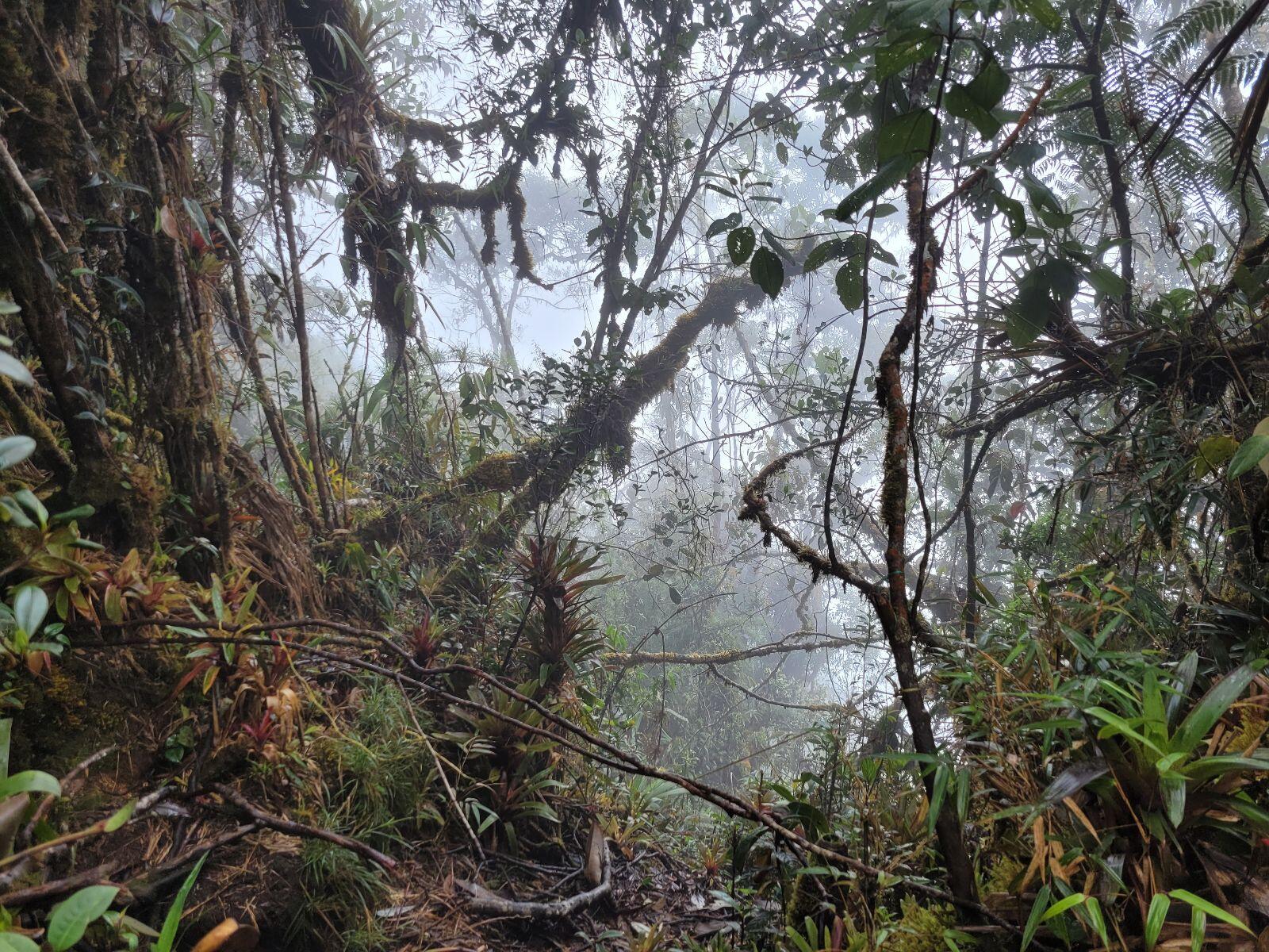 Viajar a los Farallones del Citará