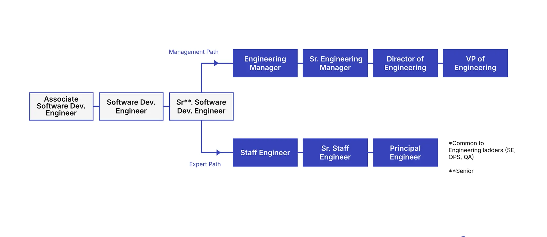 Software & Ops
