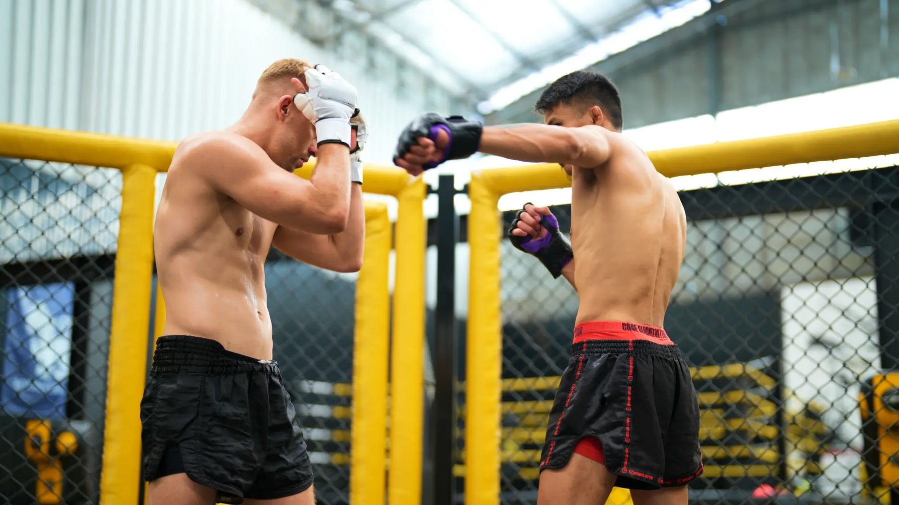 Zawodnicy mma walczący w ringu w rękawicach do mma