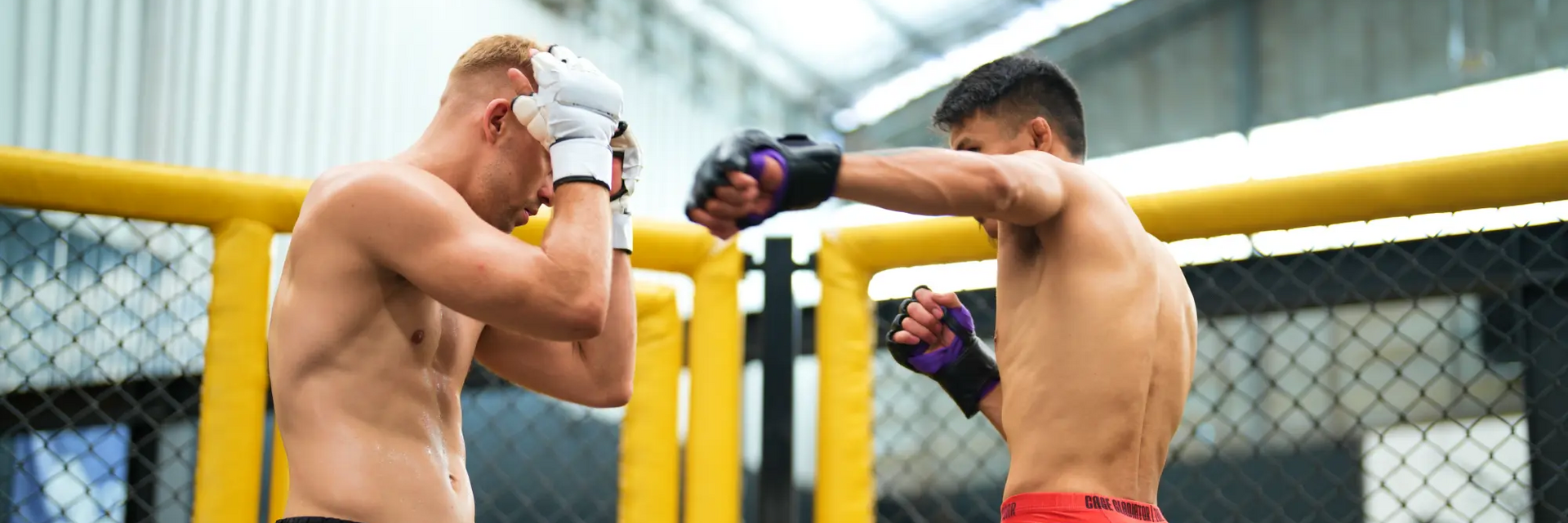Zawodnicy mma walczący w ringu w rękawicach