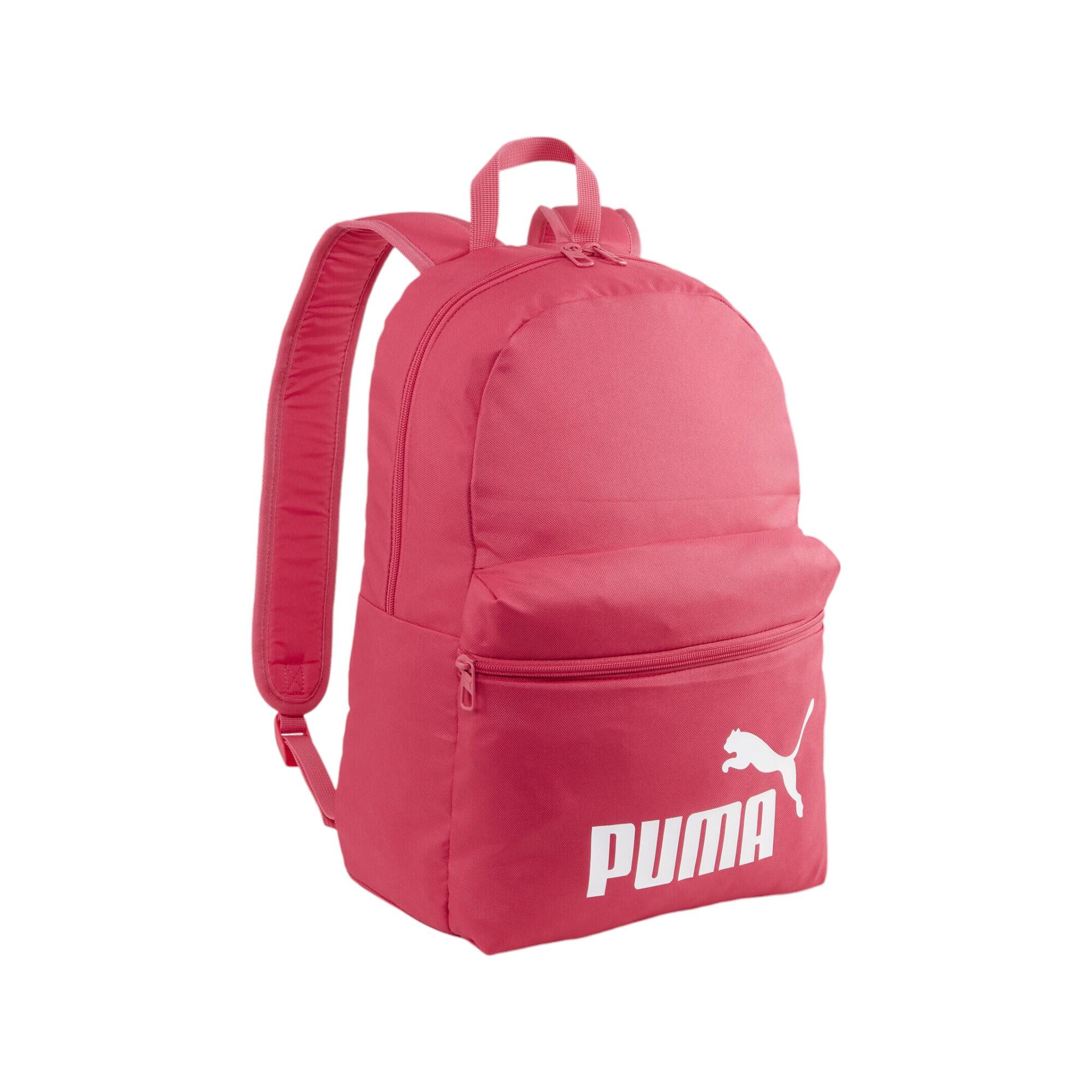 Puma accessoires