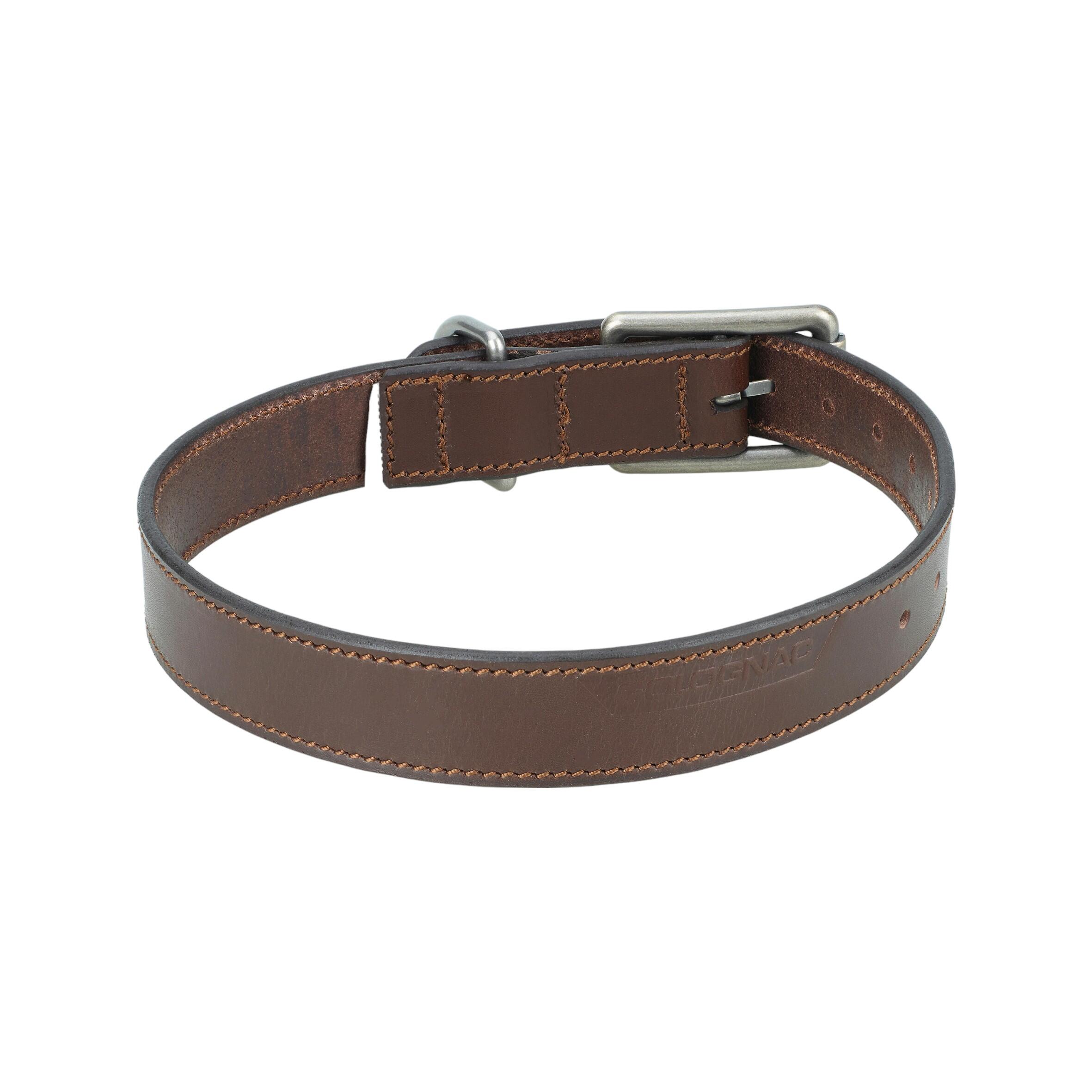 Hondenhalsband