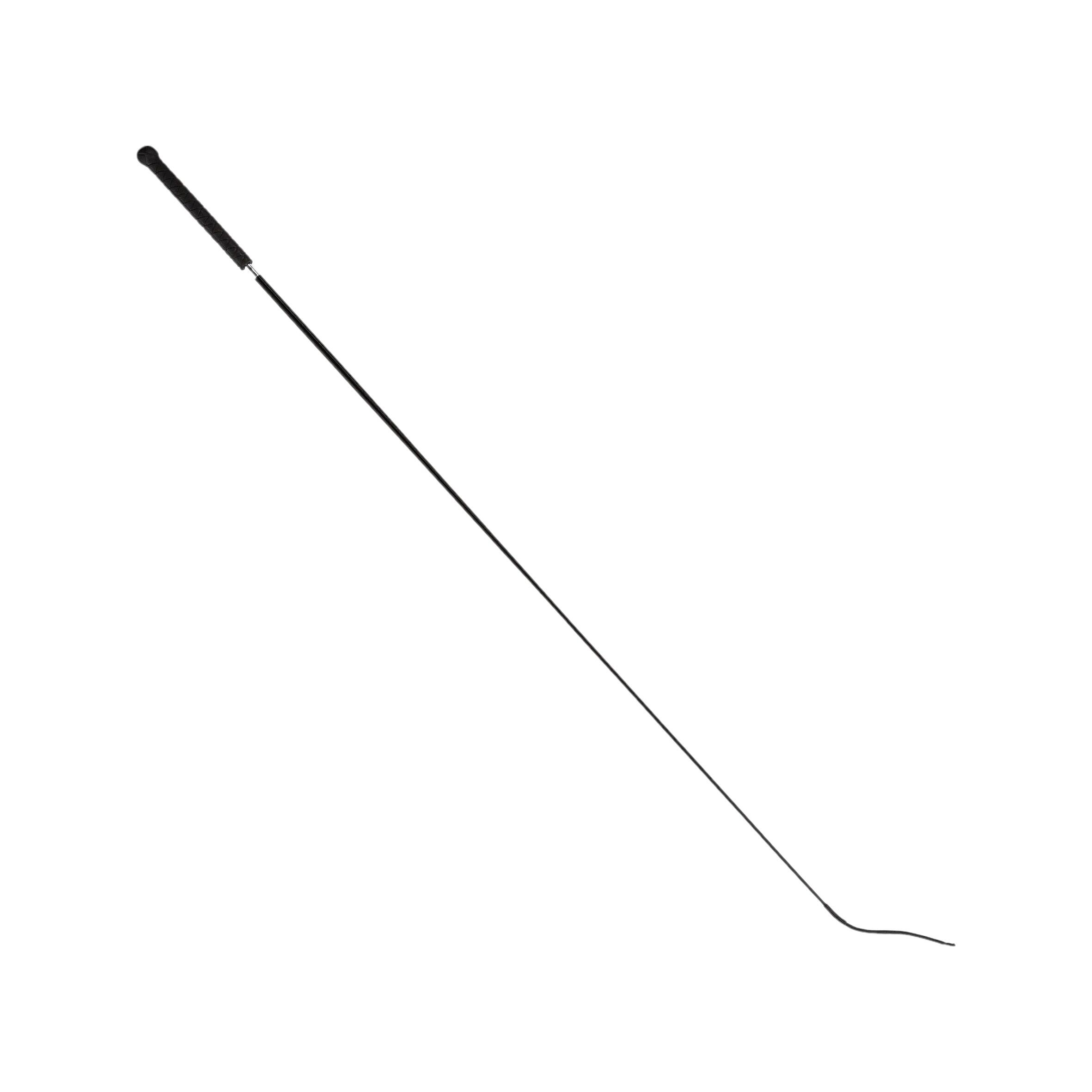 Zwepen