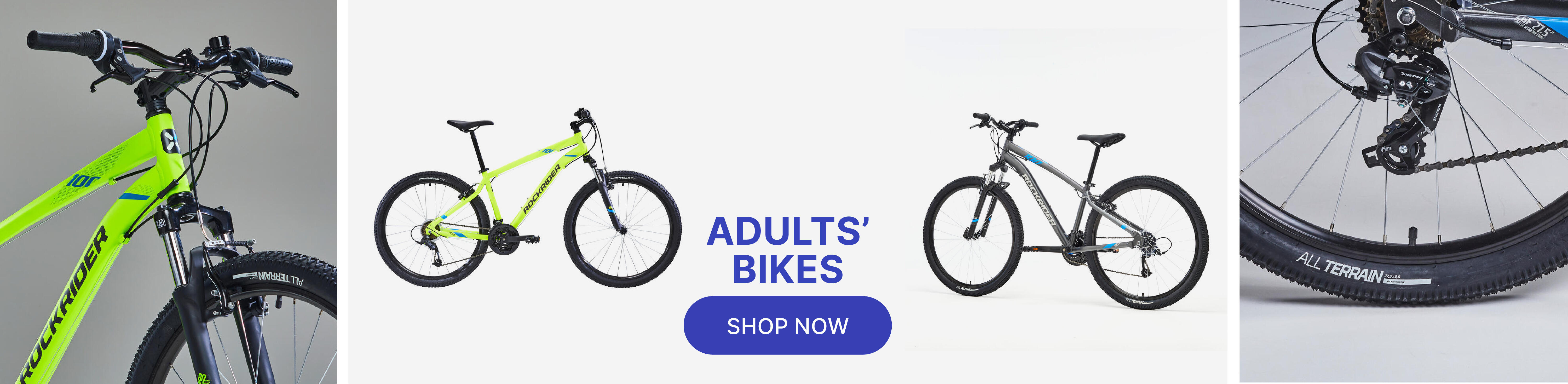 Adult bikes