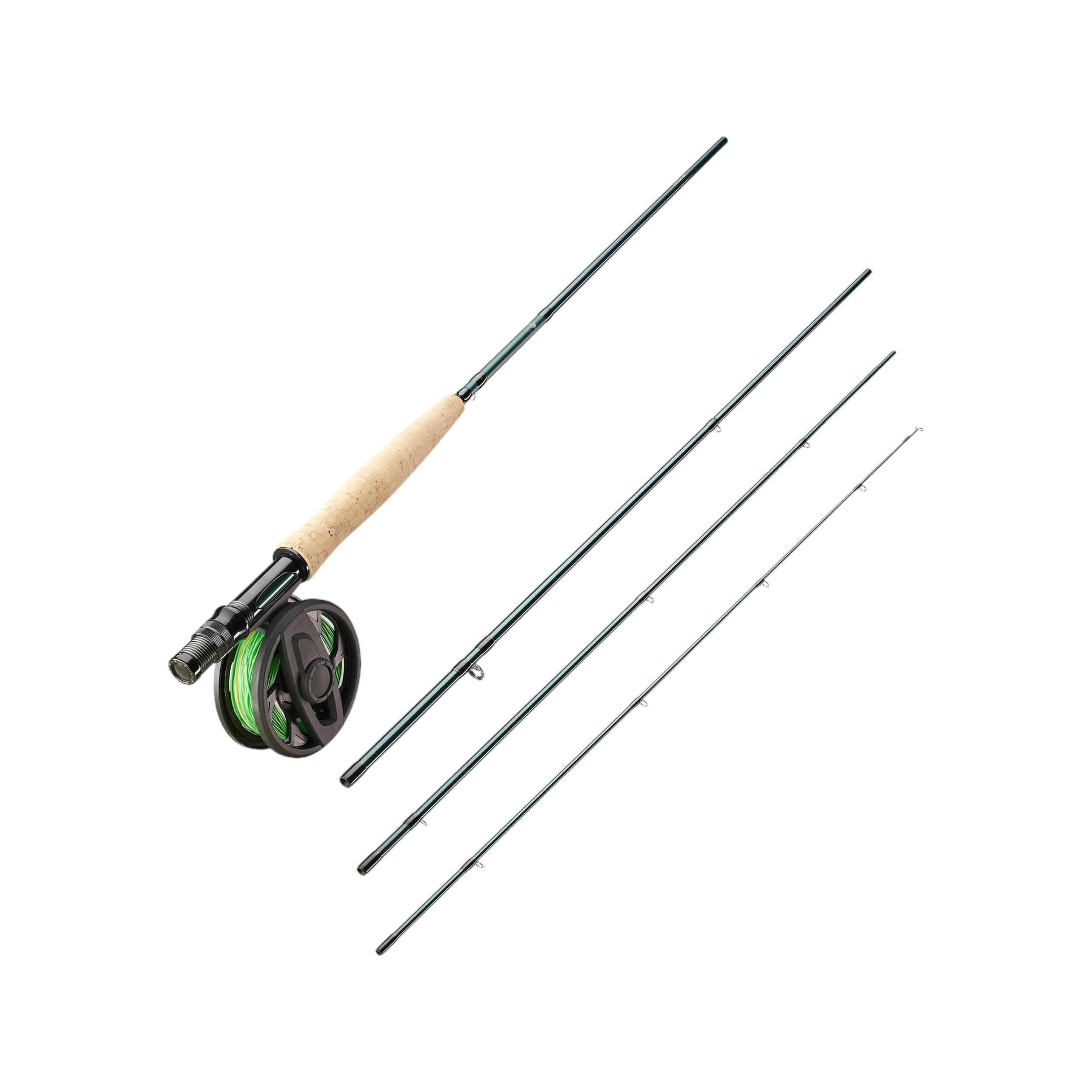 Zielfische & Techniken
