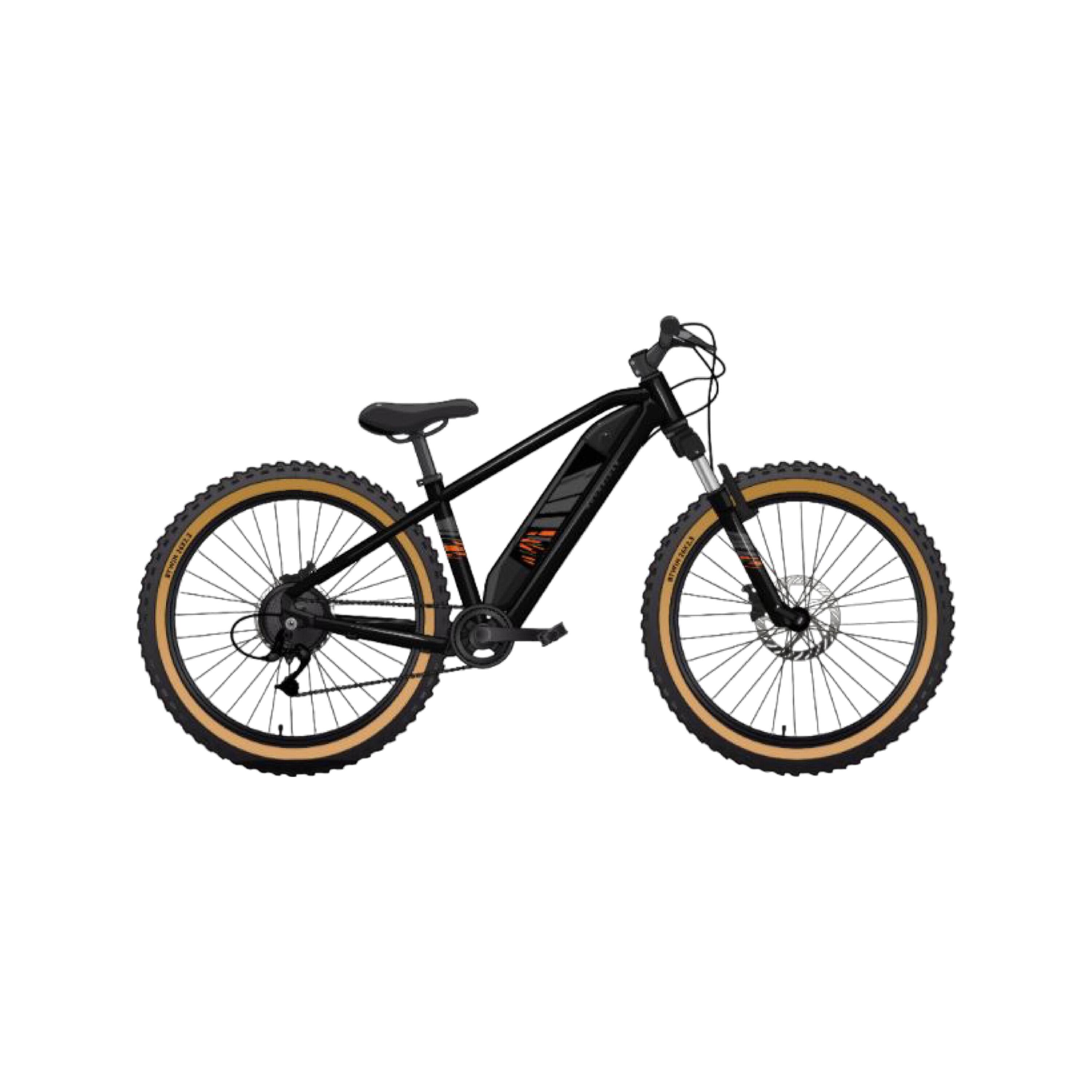 E-Bikes Kids & Junior